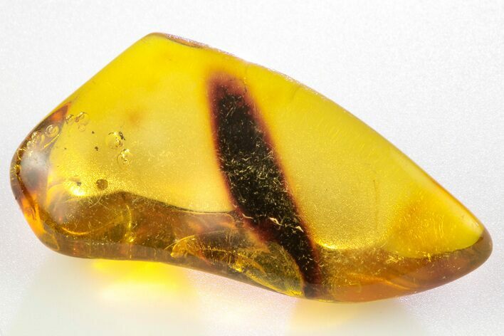 Polished Chiapas Amber ( g) - Mexico #193259